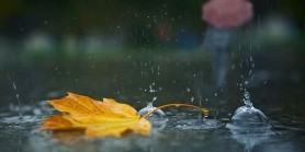 Toamna își intră în drepturi. Cum va fi vremea în următoarele zile